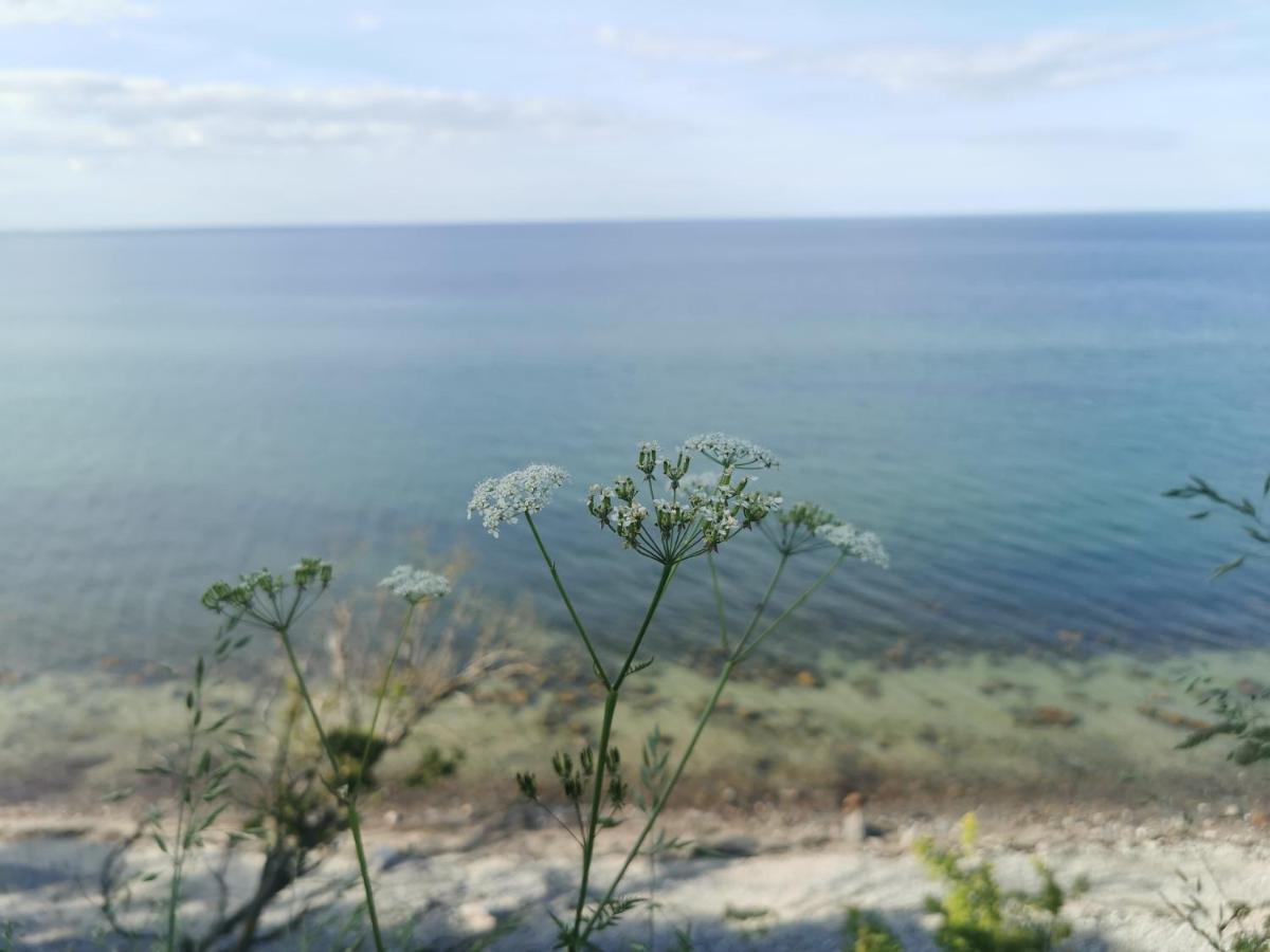 Nordic Bo -Wellen Wald Und Wilde Kueste- Strandnahe Doppelhaushaelfte Mit Waldterrasse Surendorf Dış mekan fotoğraf