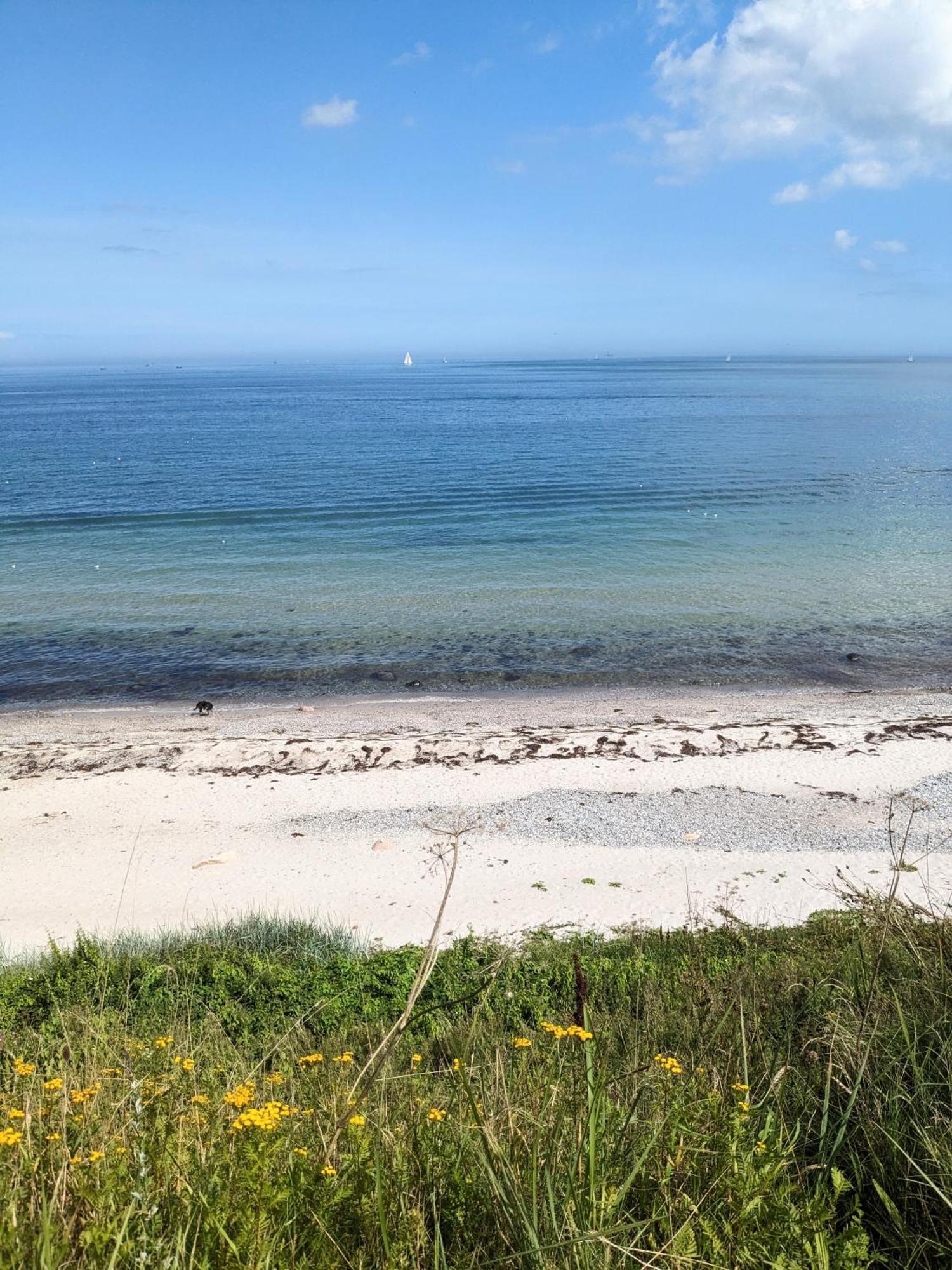 Nordic Bo -Wellen Wald Und Wilde Kueste- Strandnahe Doppelhaushaelfte Mit Waldterrasse Surendorf Dış mekan fotoğraf