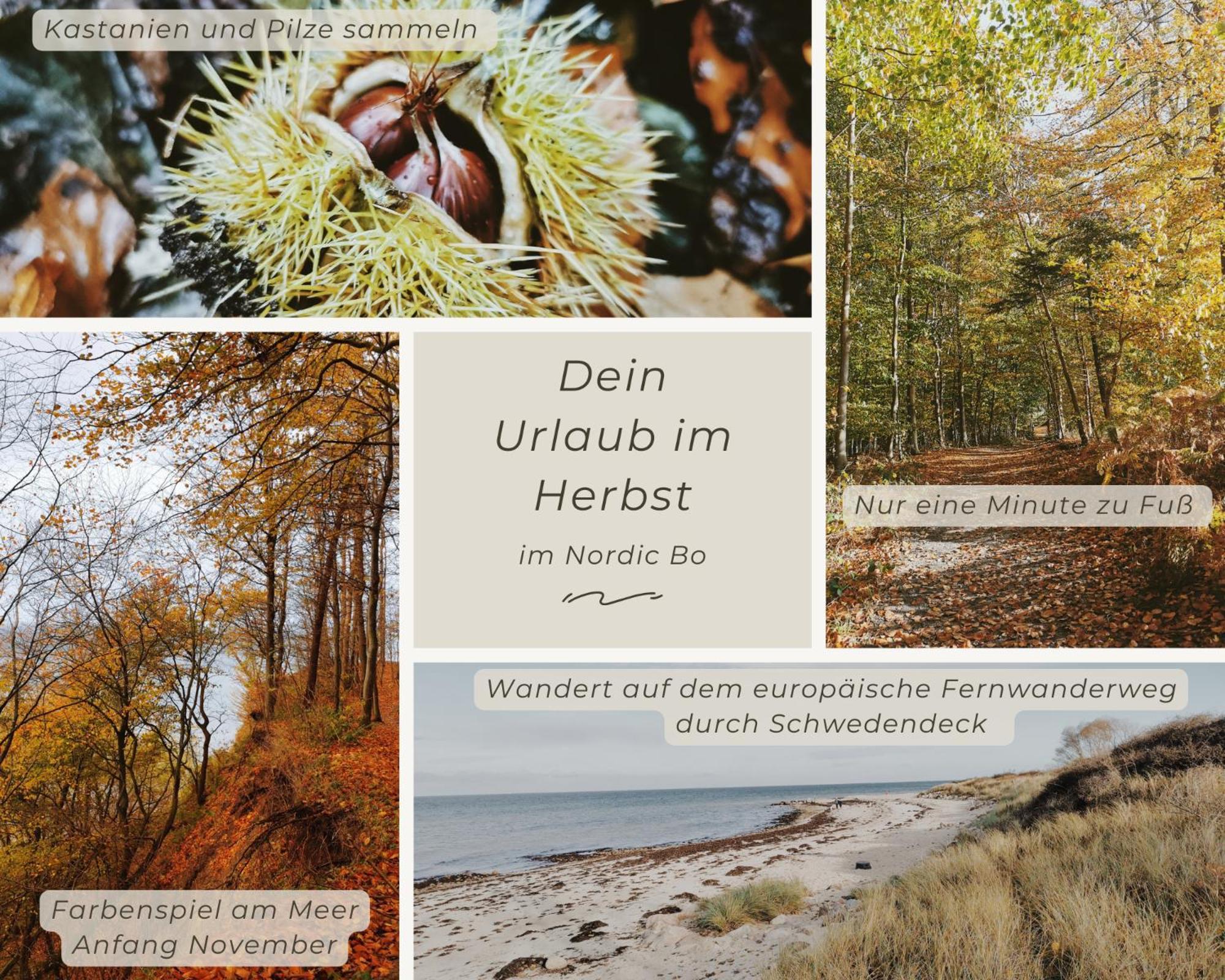 Nordic Bo -Wellen Wald Und Wilde Kueste- Strandnahe Doppelhaushaelfte Mit Waldterrasse Surendorf Dış mekan fotoğraf